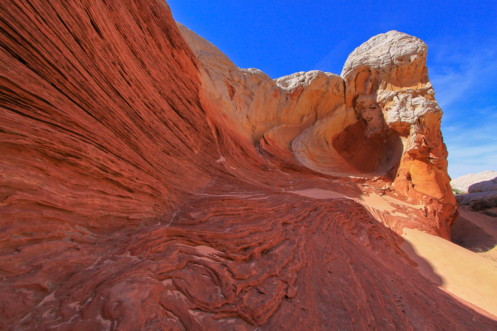 My favorite alcove - White Pocket, Arizona