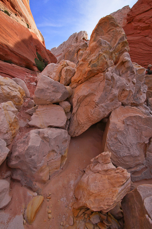 Rock Garden at sunset - White Pocket