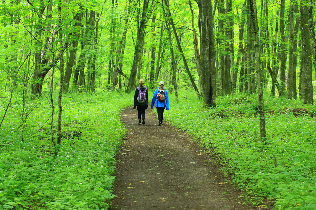 Tinman and Mudjumper - Chapel Loop, Pictured Rocks, Michigan 2017