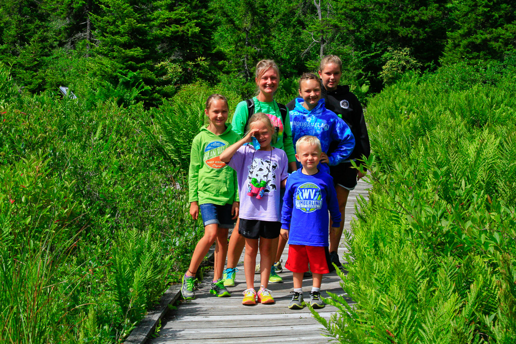 Cranberry Glades Boardwalk, WV 2014