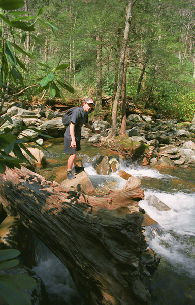 Chimney Tops, Great Smoky Mountains, Tennessee 1996